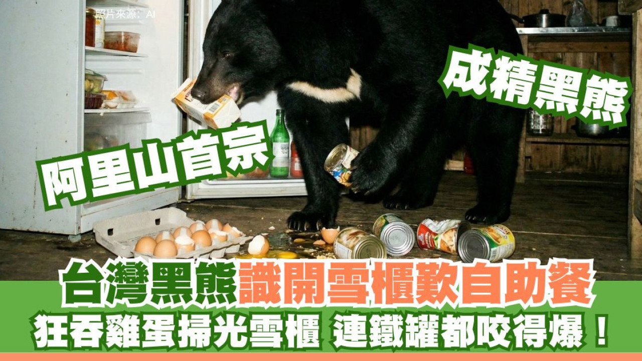 熊出沒注意｜台灣黑熊闖工寮「開雪櫃」歎自助餐！咬爆罐頭狂食 當局急派防熊噴霧