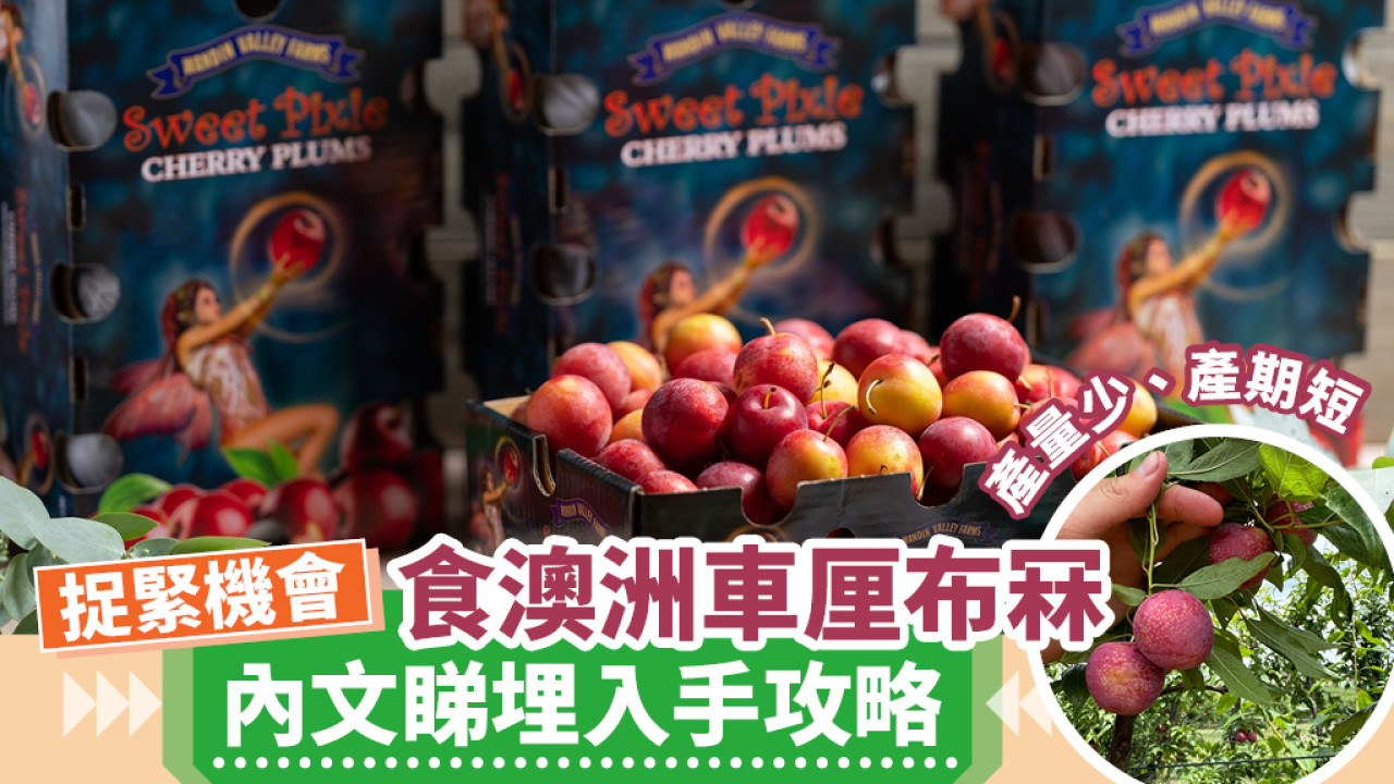 產量少、產期短！！即睇澳洲車厘布冧攻略