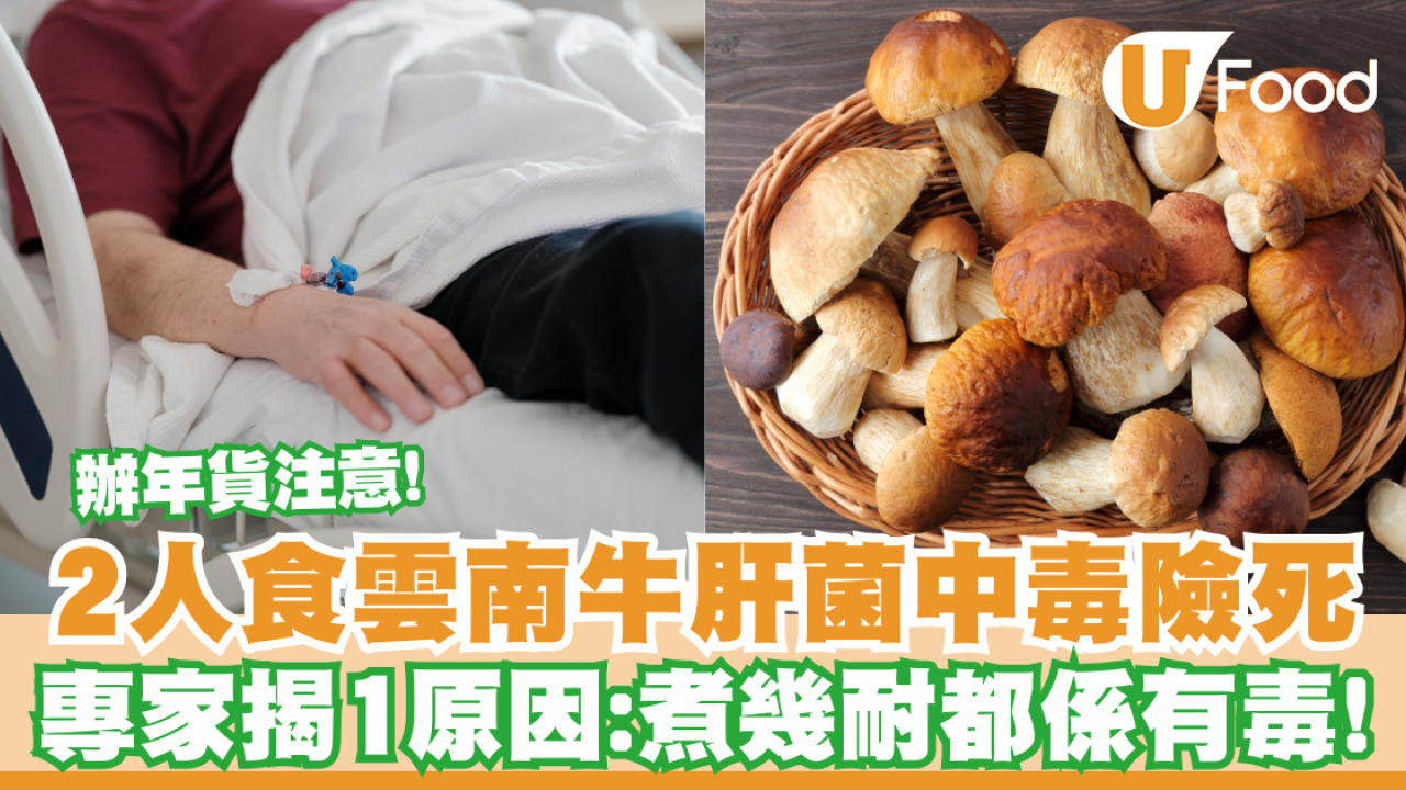 食物中毒｜2人食牛肝菌中毒狂嘔入院／衞生署揭1個包裝特徵切勿買／嚴重恐肝衰竭