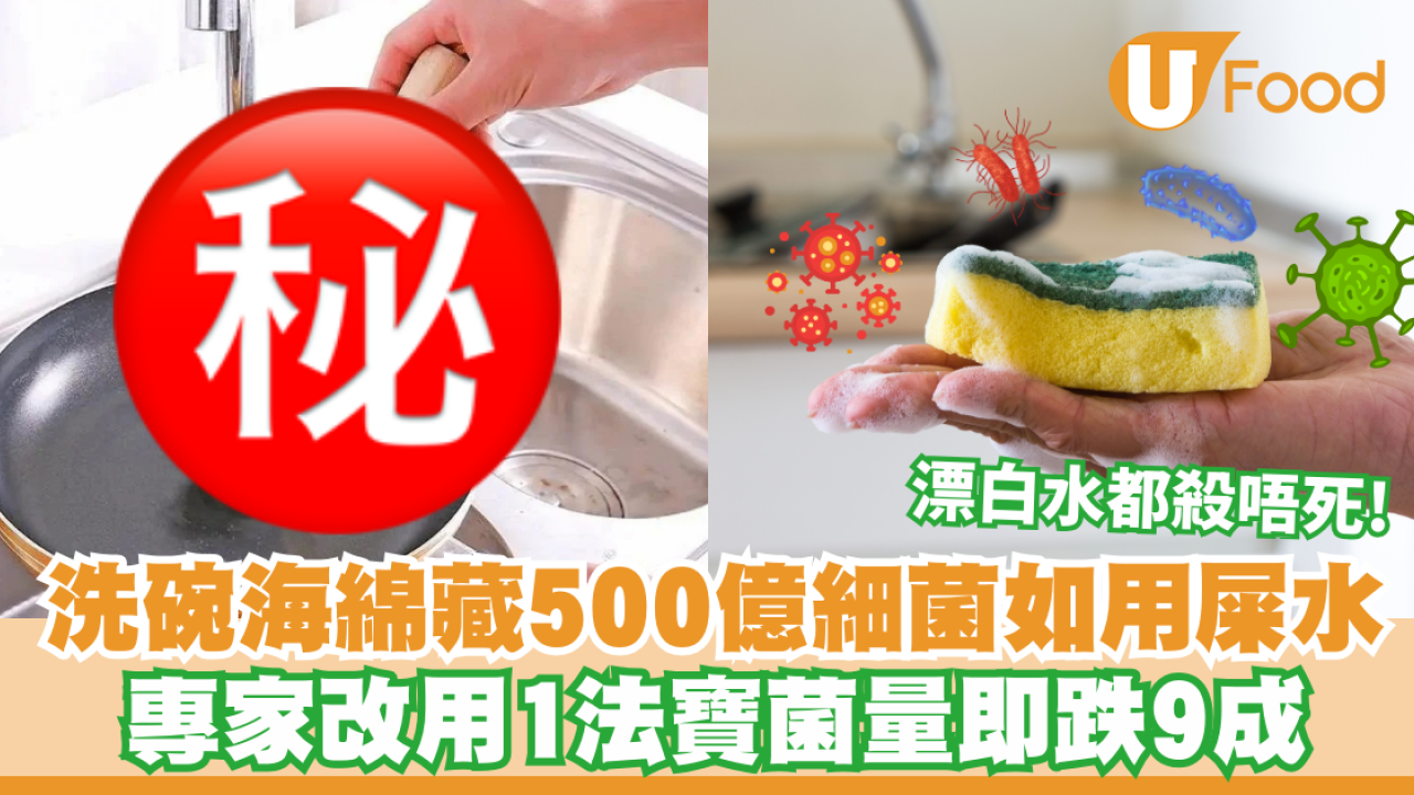 洗碗海綿藏500億細菌「如用屎水」！漂白水都殺唔死？專家改用1法寶菌量即跌9成