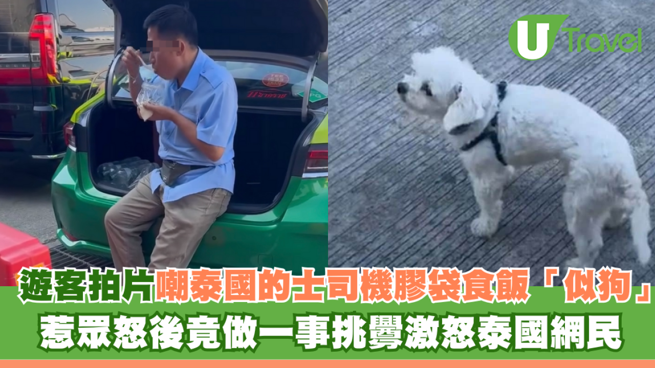 遊客拍片嘲泰國的士司機膠袋食飯「似狗」 惹眾怒後竟做一事挑釁辣㷫泰國網民 