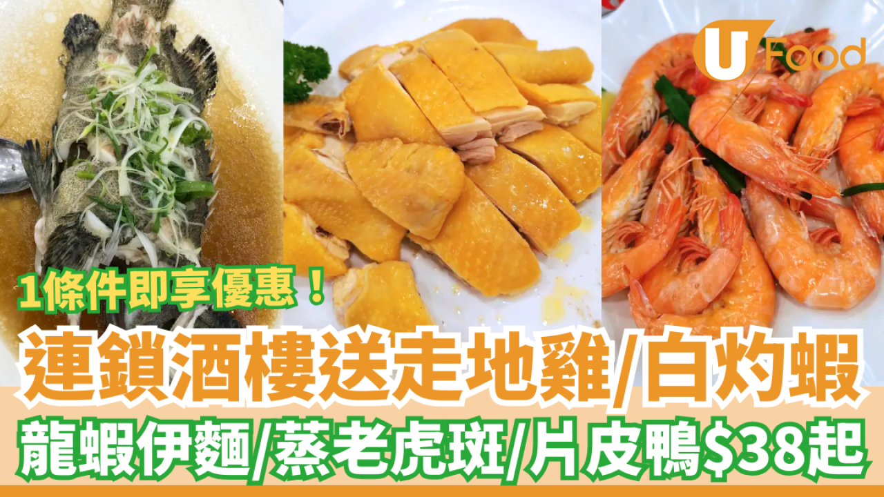 連鎖酒樓免費送走地雞/白灼蝦！晚市$38起歎蒸老虎斑/龍蝦伊麵/片皮鴨 (教1招即享優惠)