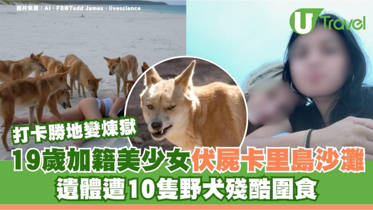  打卡勝地變煉獄？澳洲卡里島19歲美少女慘死伏屍沙灘 遺體遭10隻野犬殘酷圍食