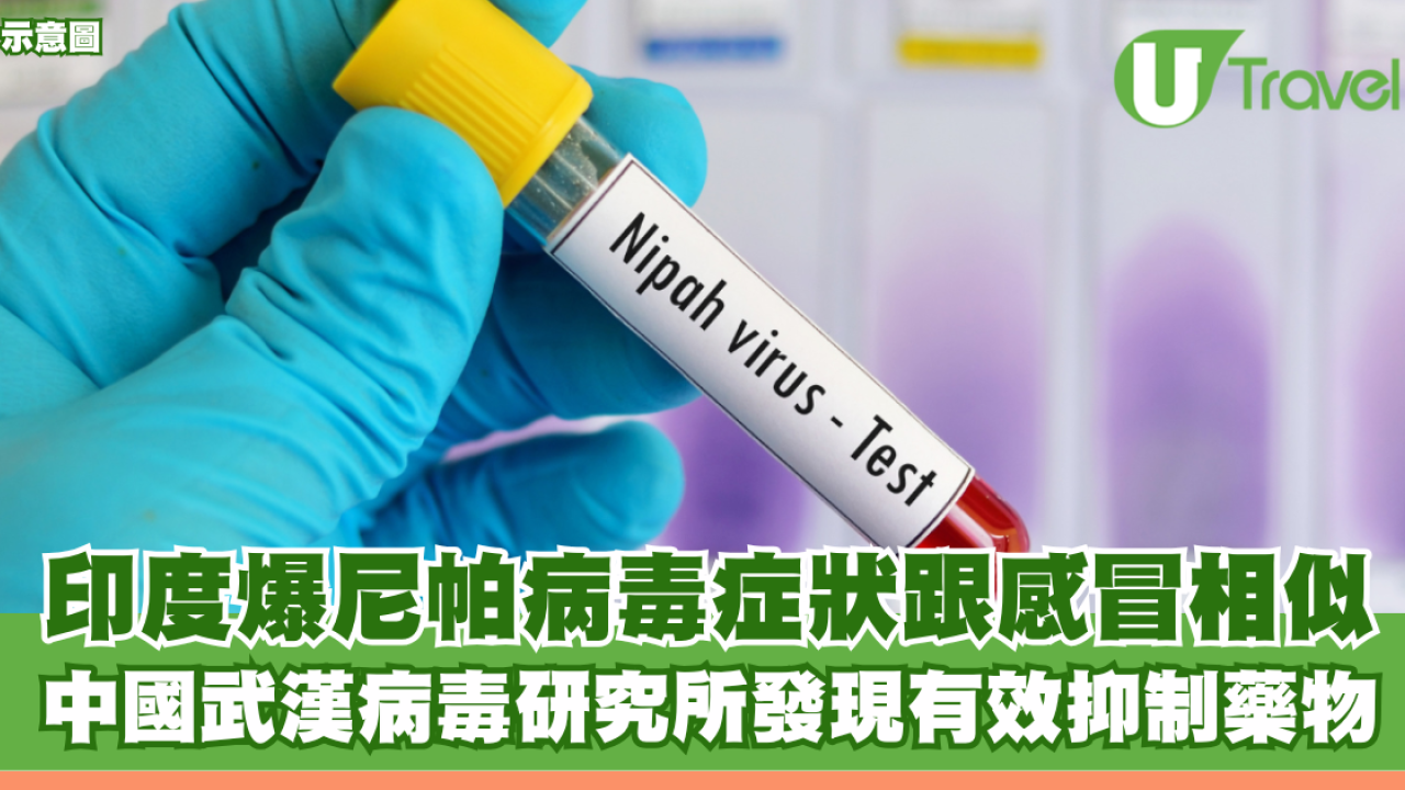 印度爆尼帕病毒症狀跟感冒相似！中國武漢病毒研究所發現有效抑制藥物