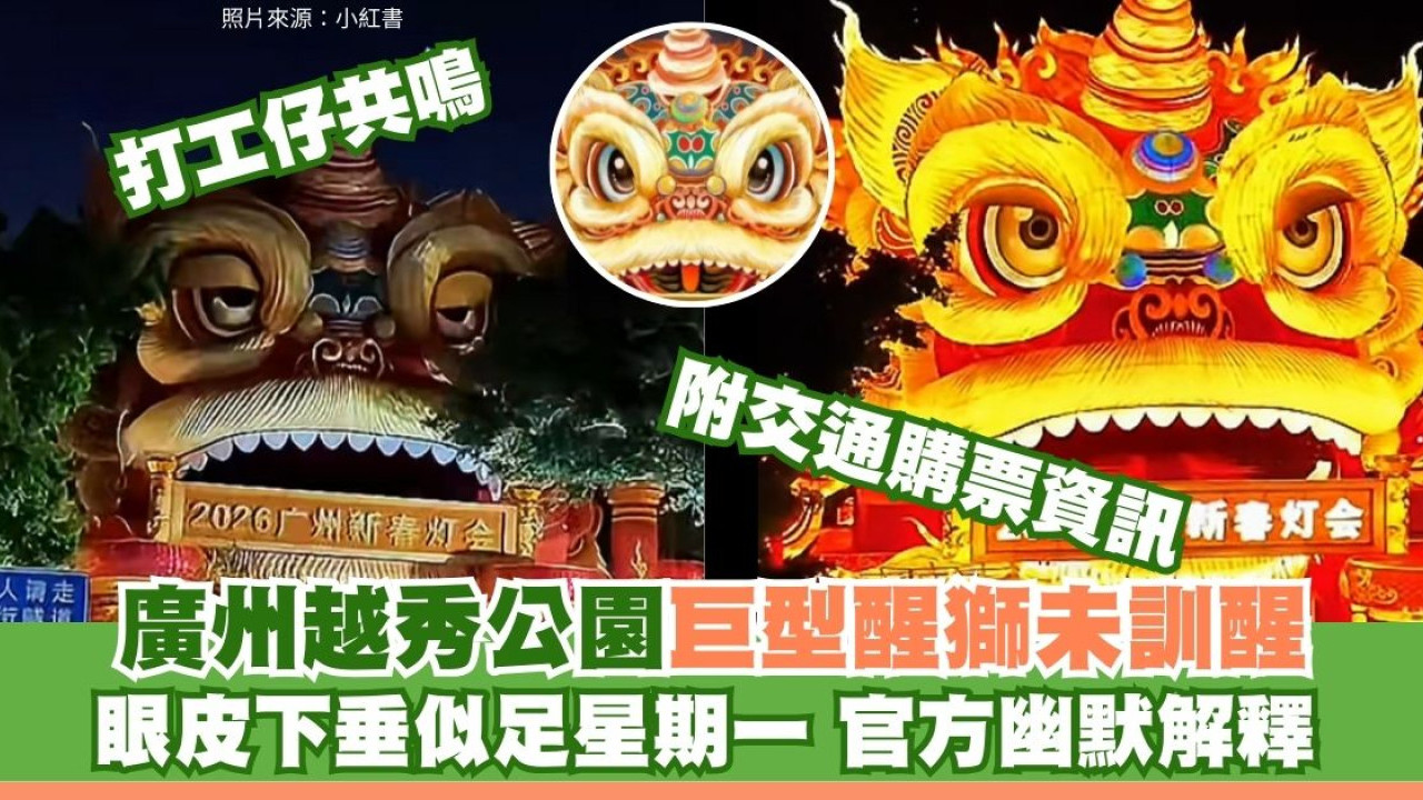 廣州越秀公園燈會醒獅變「睡獅」意外爆紅！垂眼厭世似打工仔 網民：星期一嘅我