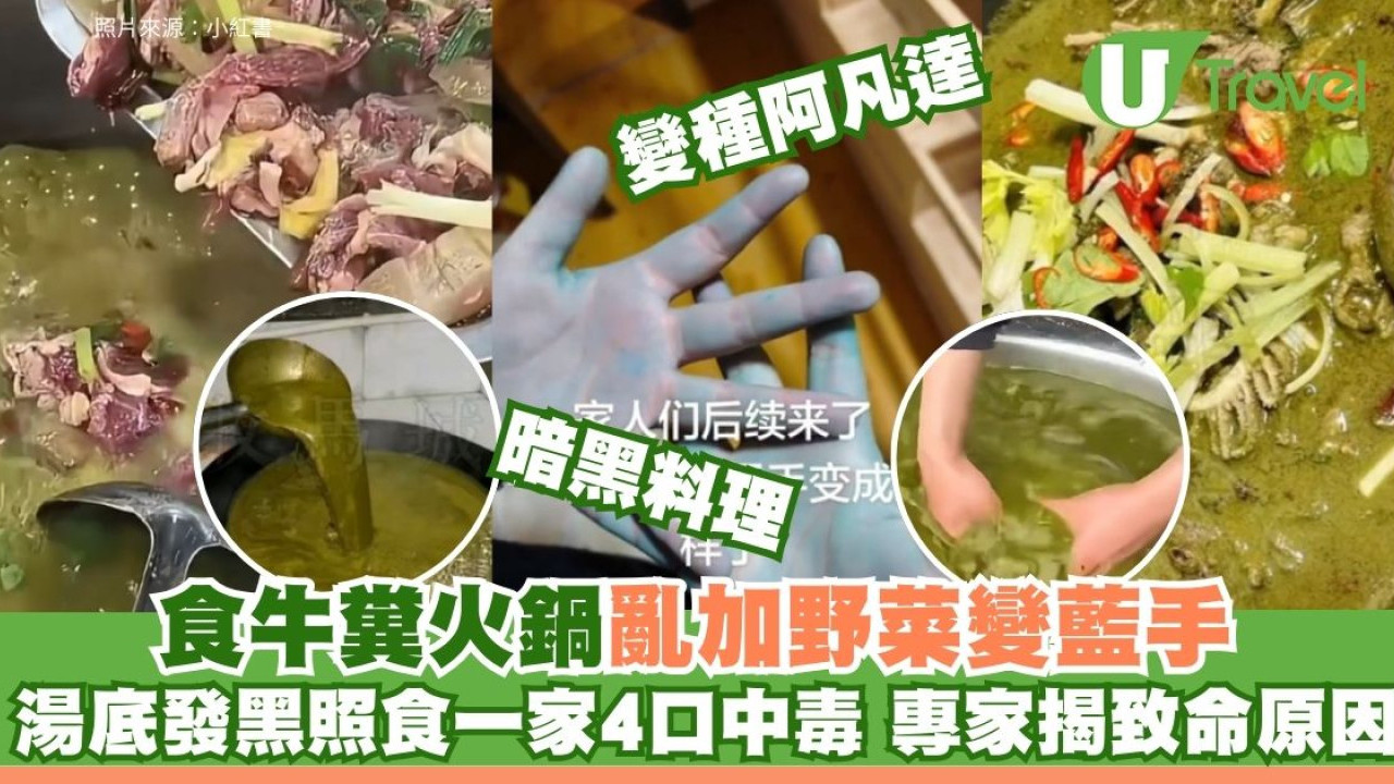 變種阿凡達？一家4口食牛糞火鍋加一種菜 雙手竟詭異變藍 湯底發黑照食中毒送院 