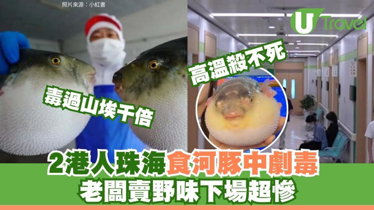 2港人珠海食河豚中毒麻痺命危 高溫殺不死劇毒勁過山埃 老闆賣野味下場超慘