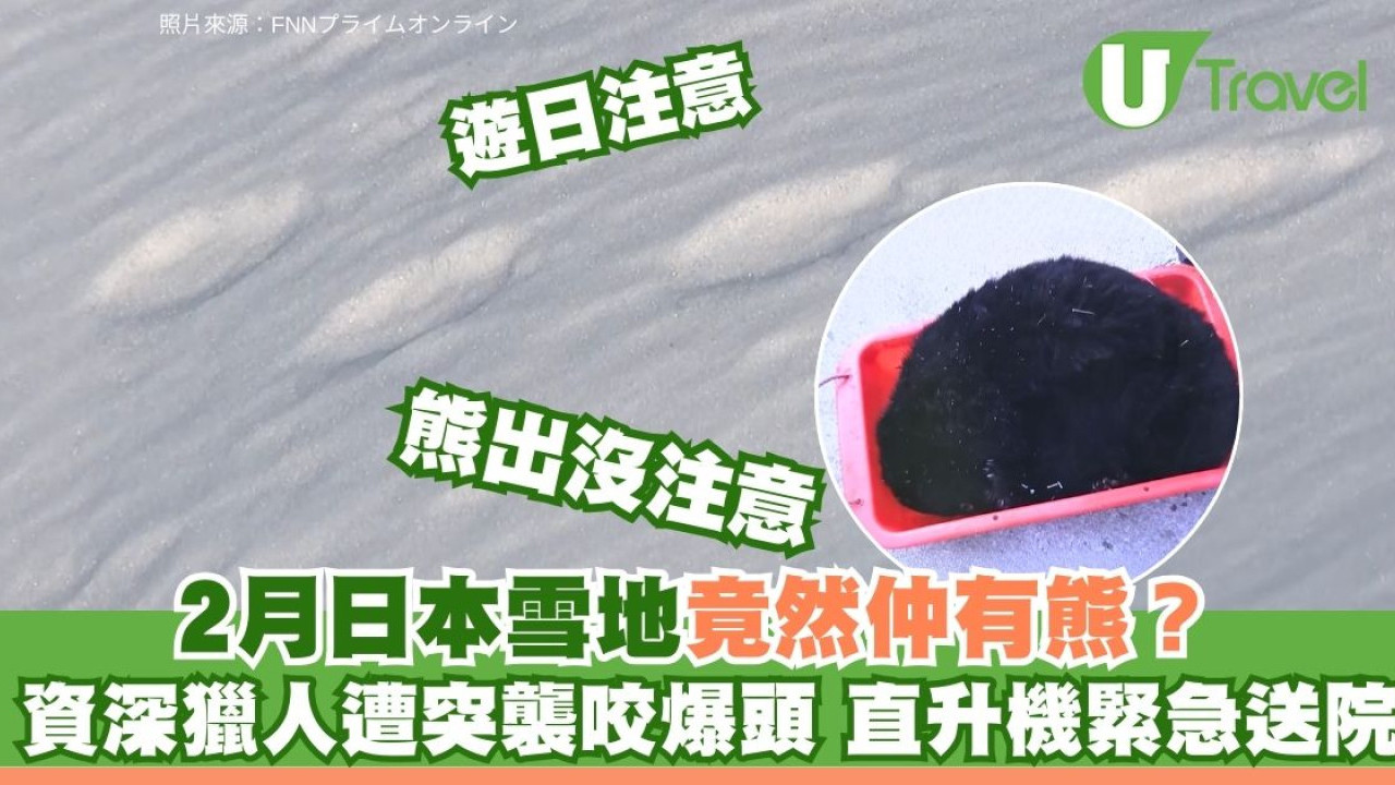 日本熊襲再現疑沒有冬眠！獵人放煙花反遭咬面 岩手遊客極高危