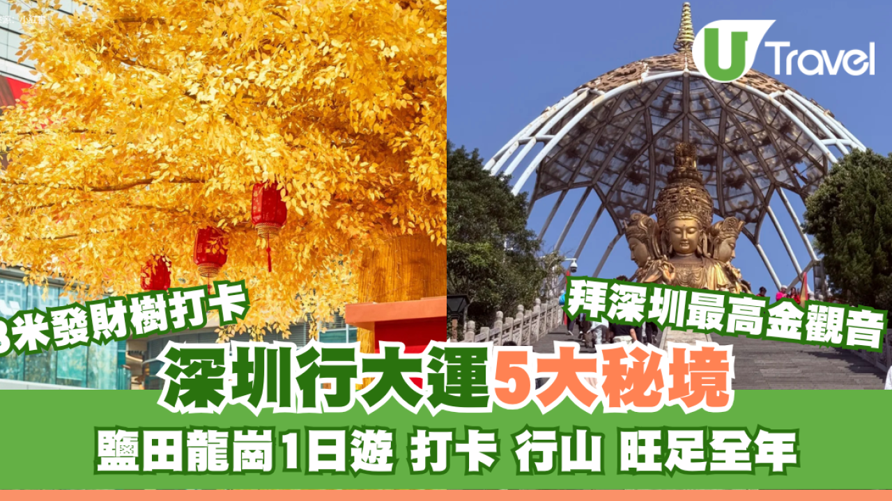 【深圳行大運5大秘境】鹽田龍崗1日遊︰8米發財樹打卡、拜金觀音深圳最高旺足全年