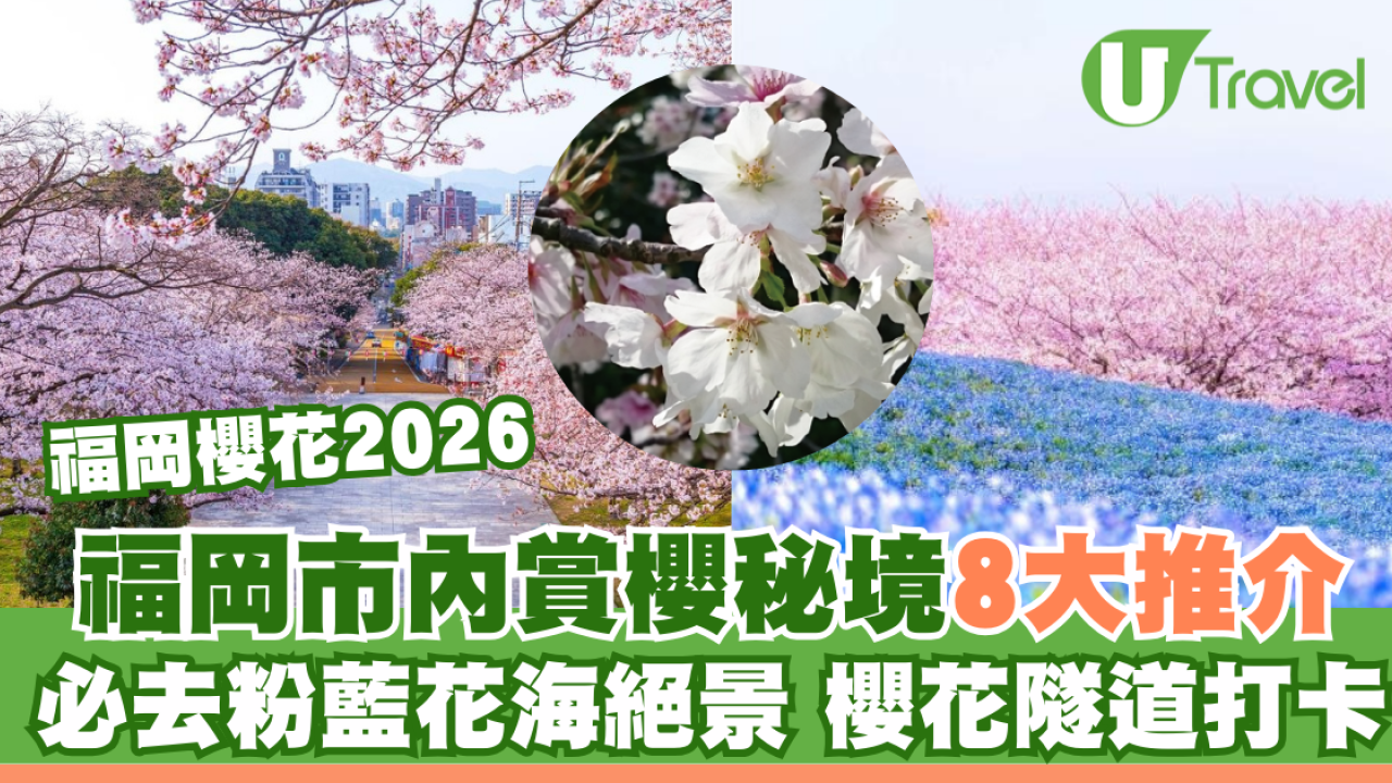 福岡櫻花2026｜福岡市內賞櫻秘境8大推介附交通 必去粉藍花海絕景、櫻花隧道打卡