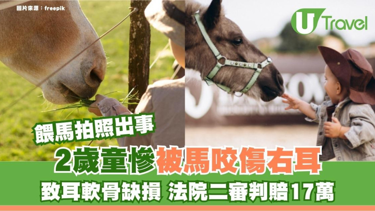 台灣親子遊清境農場餵馬 2歲童右耳被馬咬缺耳肉 家長終勝訴獲賠17萬