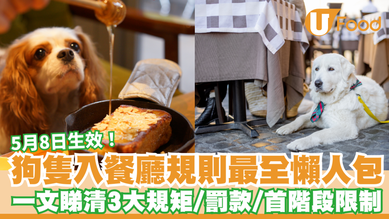 狗隻入食肆懶人包｜5月8日生效！一文睇清3大帶狗規矩/罰款/首階段餐廳限制