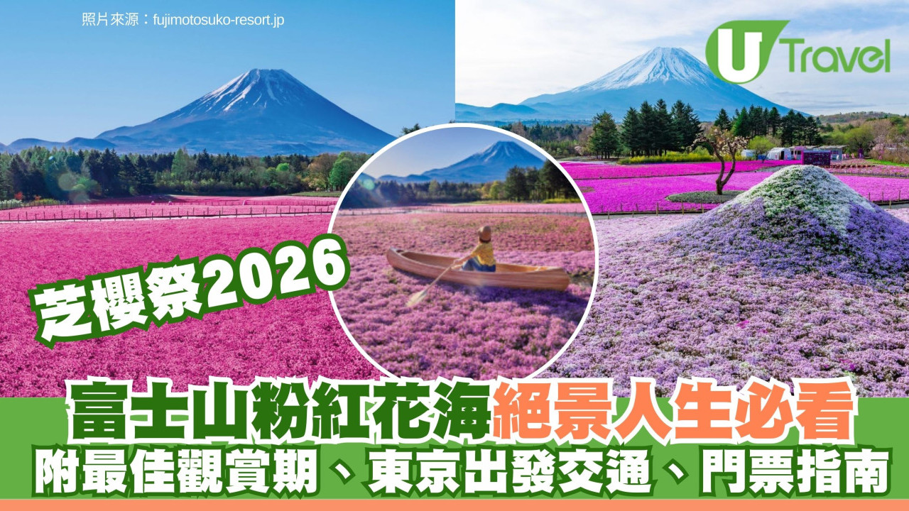 富士芝櫻祭2026｜富士山粉紅花海絕景人生必看！附最佳觀賞期、東京出發交通、門票指南
