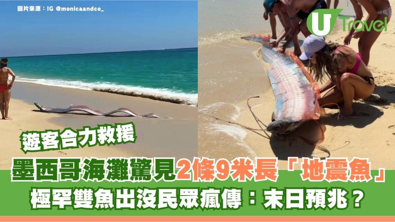 墨西哥海灘驚見2條9米長「地震魚」極罕雙魚出沒民眾瘋傳：末日預兆？