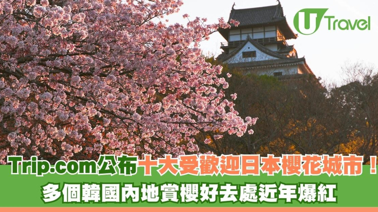 Trip.com公布十大受歡迎日本櫻花城市！多個韓國內地賞櫻好去處近年爆紅