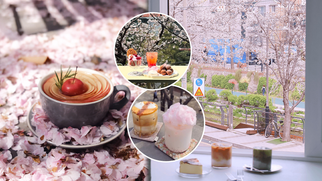 【韓國櫻花2026】首爾8大必去櫻花Cafe 春天必去！絕美櫻花陽台/櫻花窗景