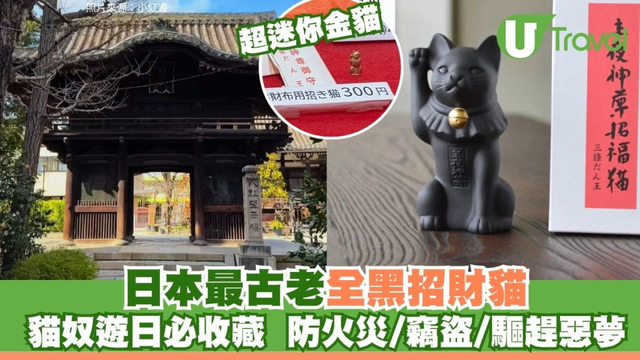 貓奴必買！京都隱世秘境「檀王法林寺」 日本最古老「全黑招財貓」 消災解厄、驅趕惡夢、防火災
