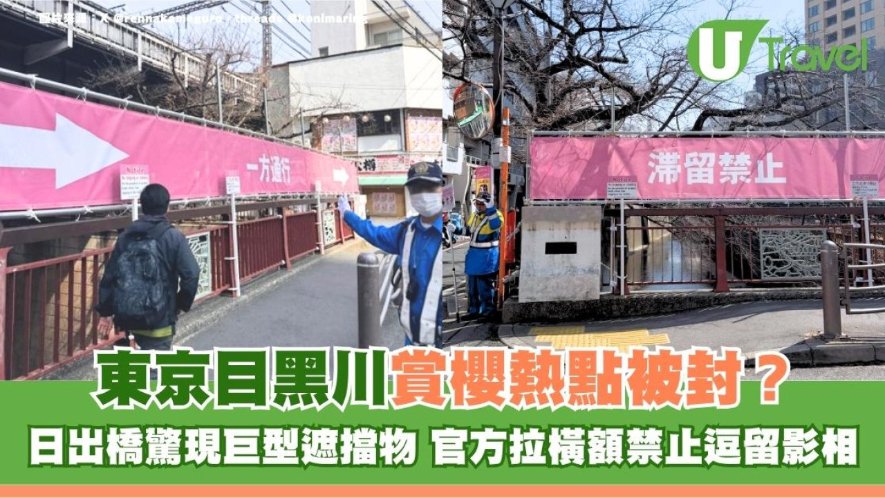 東京目黑川賞櫻熱點被封？日出橋驚現巨型遮擋物！官方拉橫額禁止逗留影相