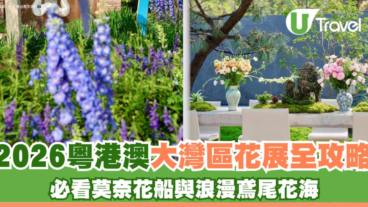 2026粵港澳大灣區花展全攻略！必看莫奈花船、浪漫鳶尾花海