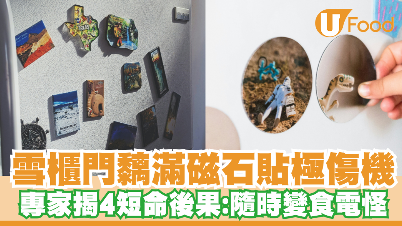 雪櫃門黐滿磁石貼極傷機！專家揭4大短命後果／隨時漏風變「食電怪」