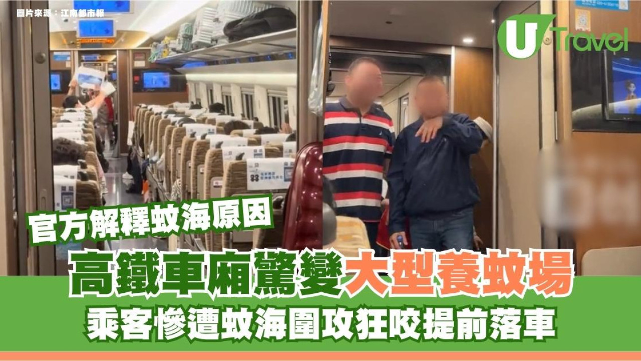 高鐵車廂驚變大型養蚊場！乘客慘遭蚊海圍攻狂咬提前落車 官方解釋原因
