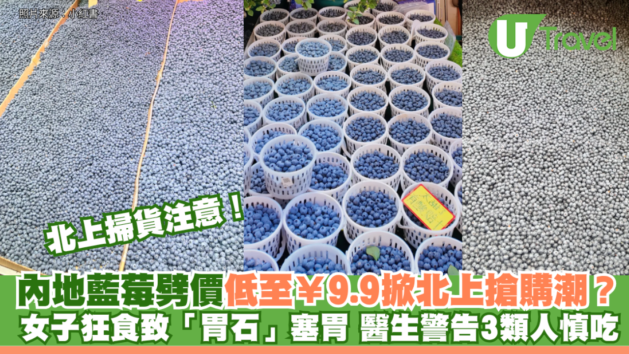 內地藍莓劈價低至¥9.9掀北上搶購潮？女子狂食致「胃石」塞胃 醫生警告3類人慎吃