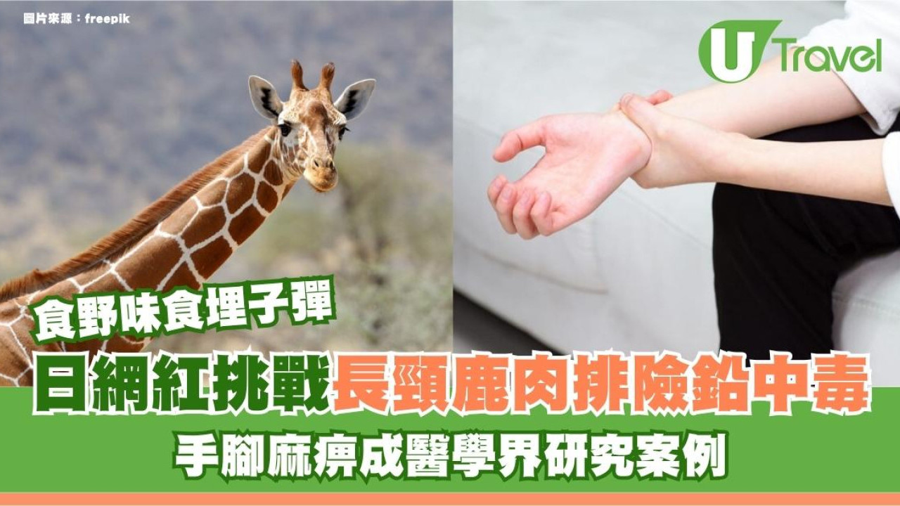 食野味竟「食埋子彈」？日網紅挑戰長頸鹿肉排險鉛中毒 手腳麻痹成醫學界研究案例