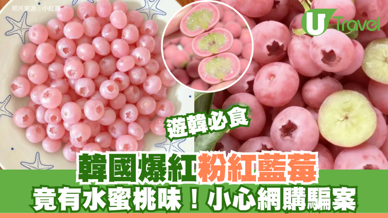韓國爆紅夢幻「粉紅藍莓」自帶水蜜桃香 拆解變色之謎！功效/甜度同藍莓有咩分別？