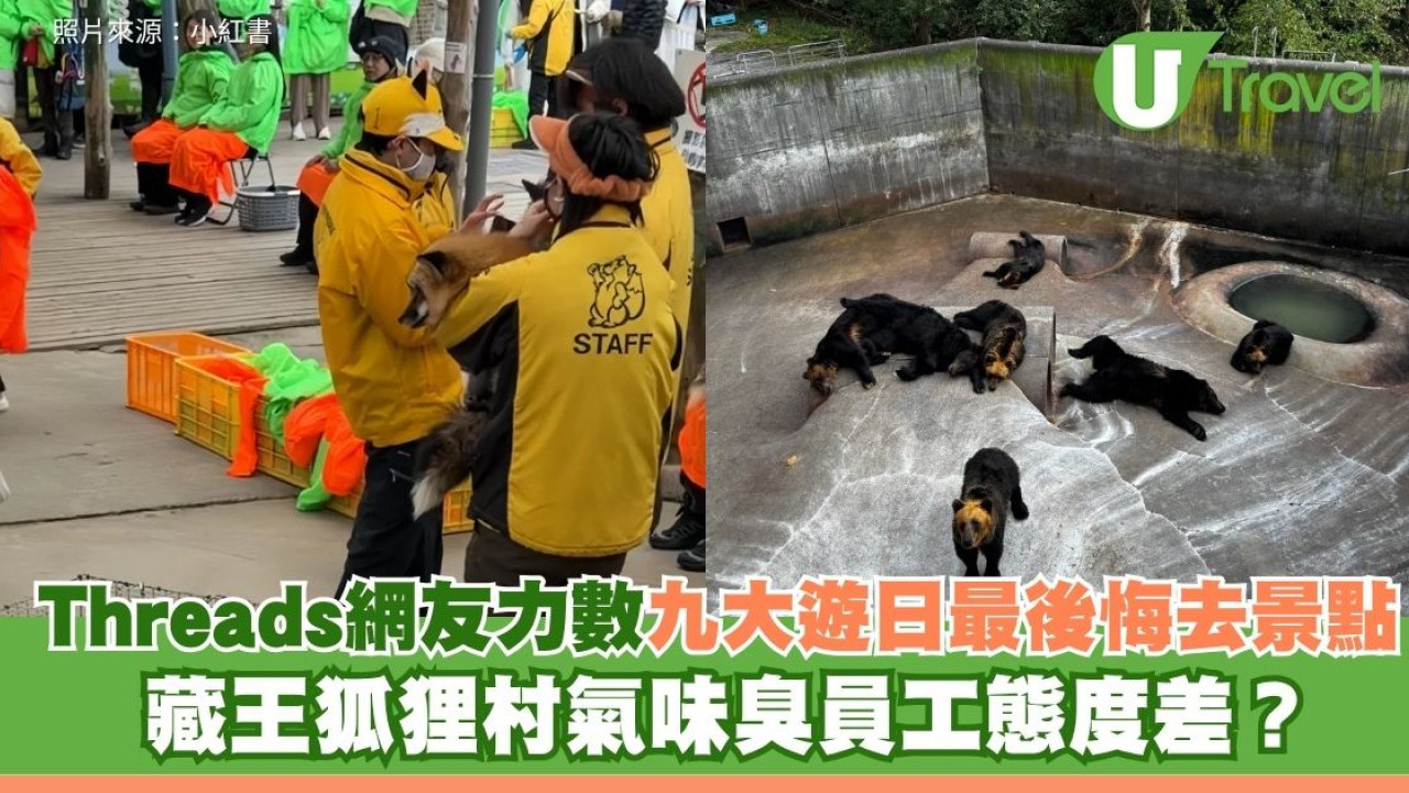 Threads網友力數九大遊日最後悔去景點 藏王狐狸村氣味臭員工態度差？