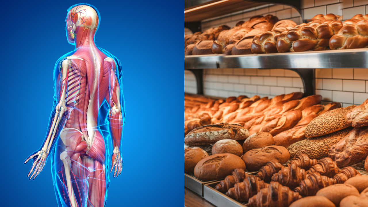 早餐麵包越焦越香？營養師：恐致慢性發炎兼催老／認住1隻顏色千萬別買