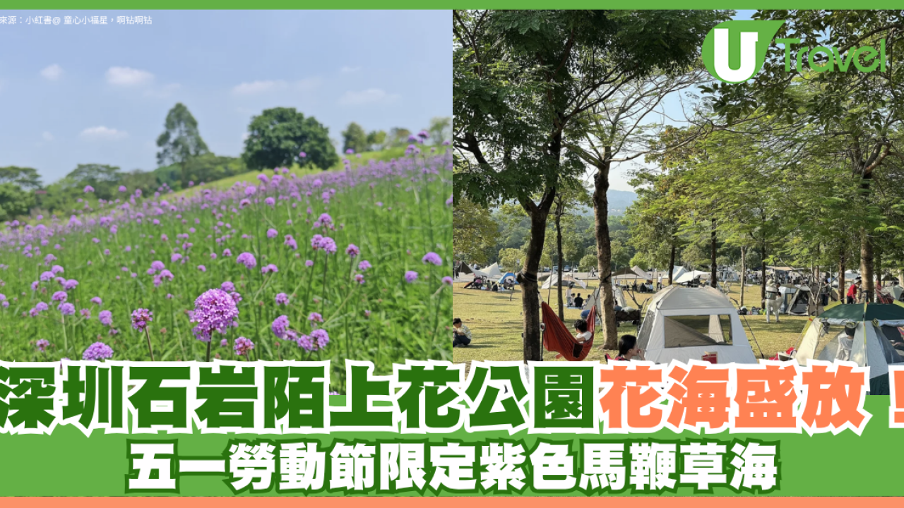 深圳石岩陌上花公園紫色馬鞭草花海盛放！附單車徑、露營區、兒童樂園親子必去
