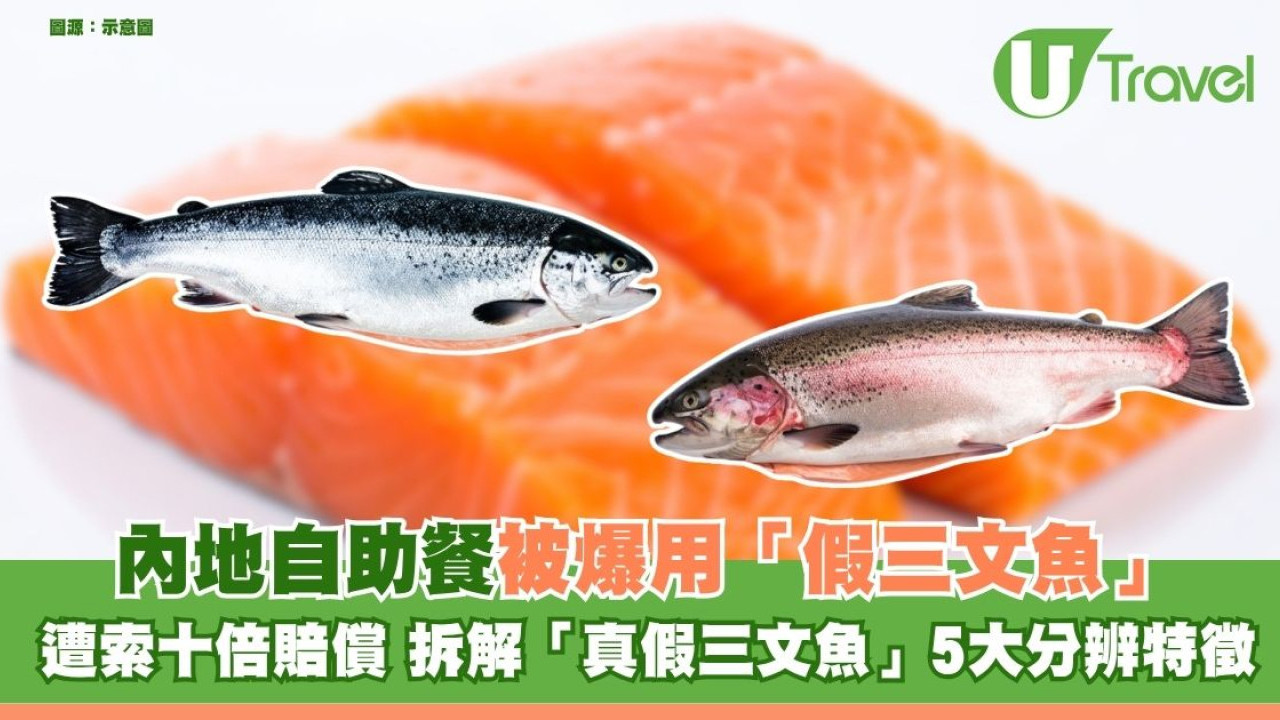 內地自助餐被爆用虹鱒扮三文魚 食客索償10倍賠償 拆解「真假三文魚」5大分辨特徵