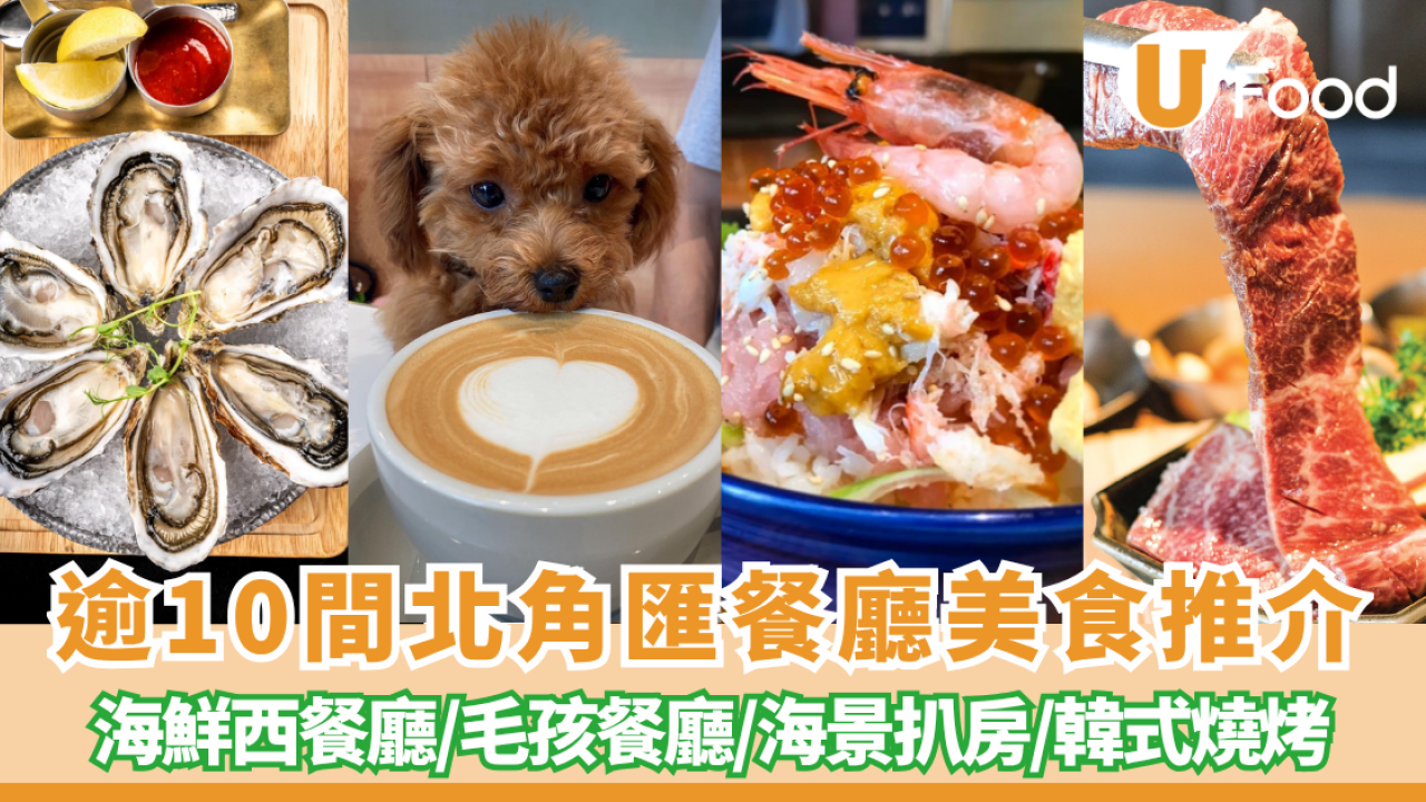 北角匯餐廳美食逾10間推介 海景法國菜+居酒屋海鮮+寵物友善店狗狗美食