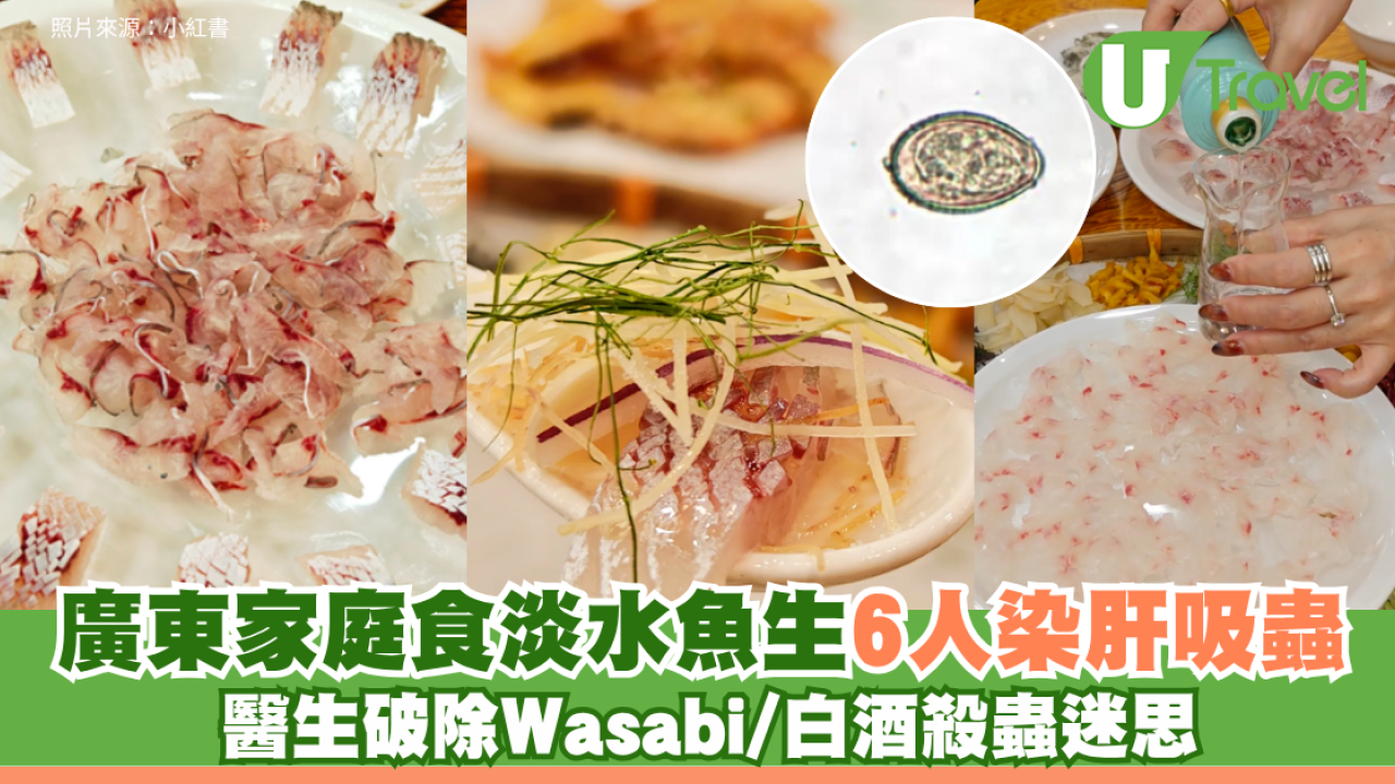 北上搵食注意！廣東家庭食淡水魚生6人染肝吸蟲 醫生破除Wasabi/白酒殺蟲迷思