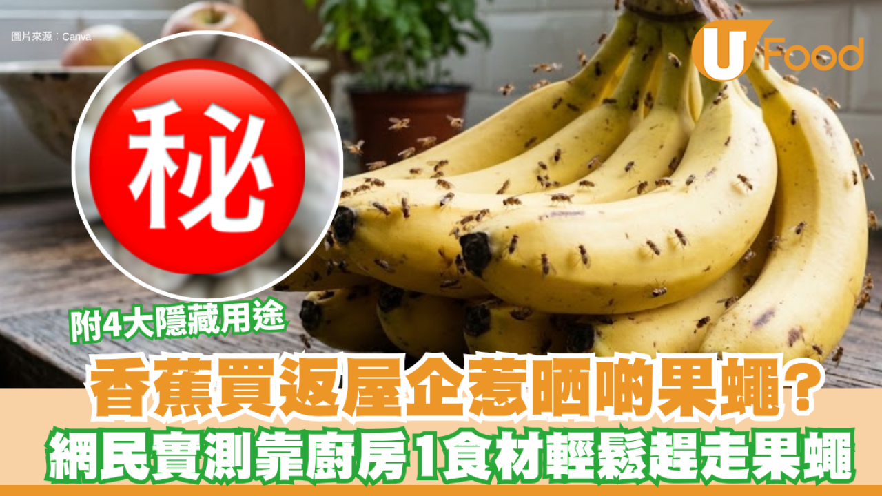 香蕉買返屋企惹晒啲果蠅？網民實測靠廚房1食材輕鬆趕走果蠅 附4大隱藏用途
