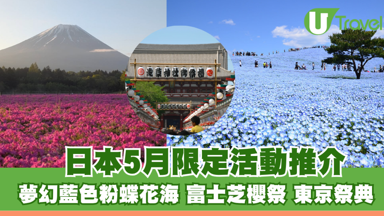 日本5月限定活動推介！夢幻藍色粉蝶花海、富士芝櫻祭、東京祭典