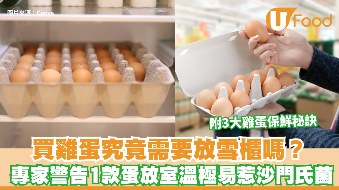 買雞蛋直接放雪櫃？專家警告1款蛋放室溫極易惹沙門氏菌 附3大雞蛋保鮮秘訣