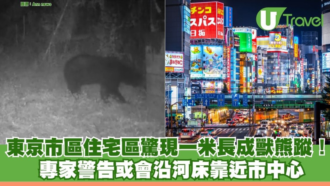 東京市區住宅區驚現一米長成獸熊蹤！ 專家警告或會沿河床靠近市中心