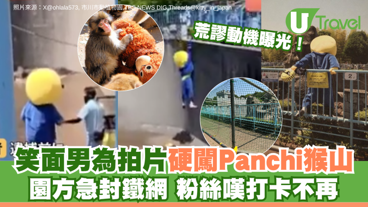笑面男為拍片硬闖Panchi猴山 荒謬動機曝光園方急封鐵網 粉絲嘆打卡不再