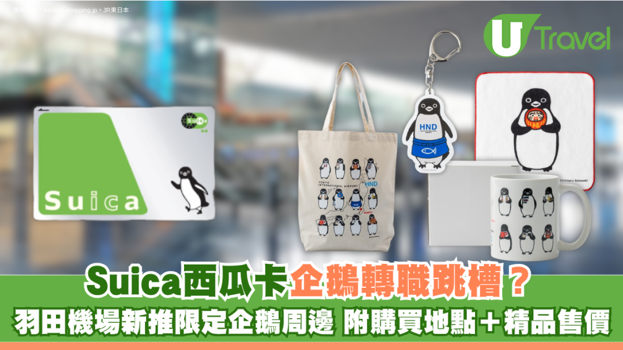 Suica西瓜卡企鵝轉職跳槽？羽田機場新推限定企鵝周邊 附購買地點＋精品售價