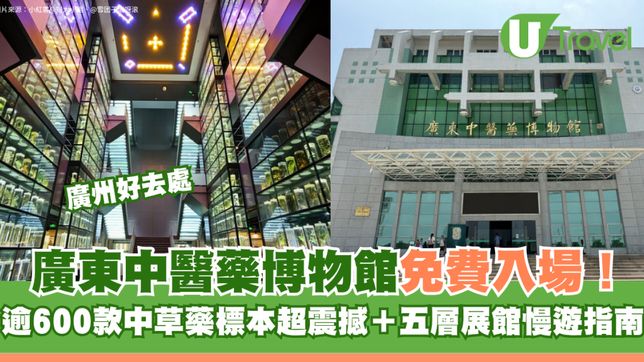 廣州好去處｜廣東中醫藥博物館免費入場！600+中草藥標本超震撼＋五層展館慢遊指南