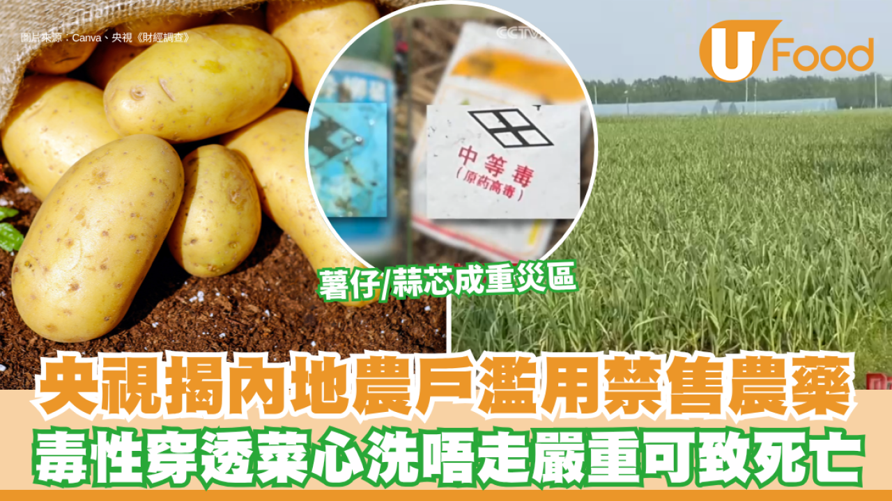 內地蔬菜食安｜ 央視揭內地農戶私買濫用禁售劇毒農藥 薯仔/蒜芯成重災區 毒性穿透菜心洗唔走