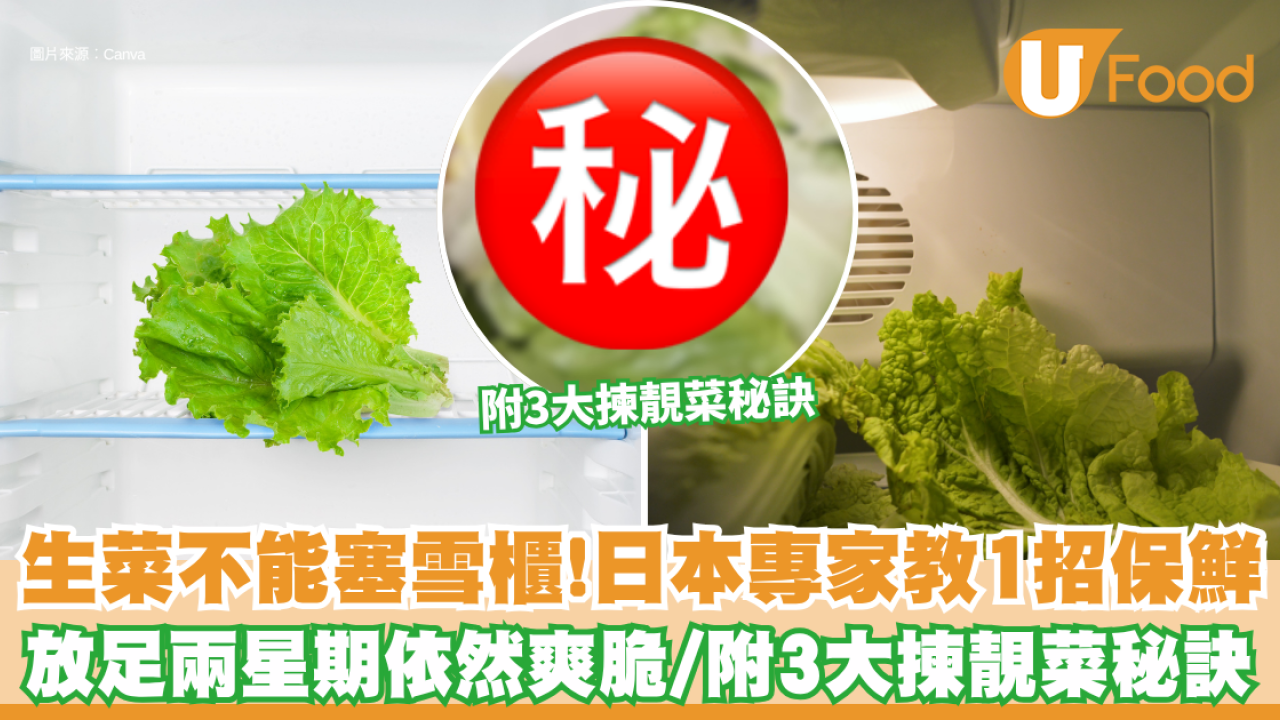 生菜直接塞入雪櫃超錯！日本專家教1招挖芯秘技 放足兩星期依然爽脆  附3大揀靚菜秘訣