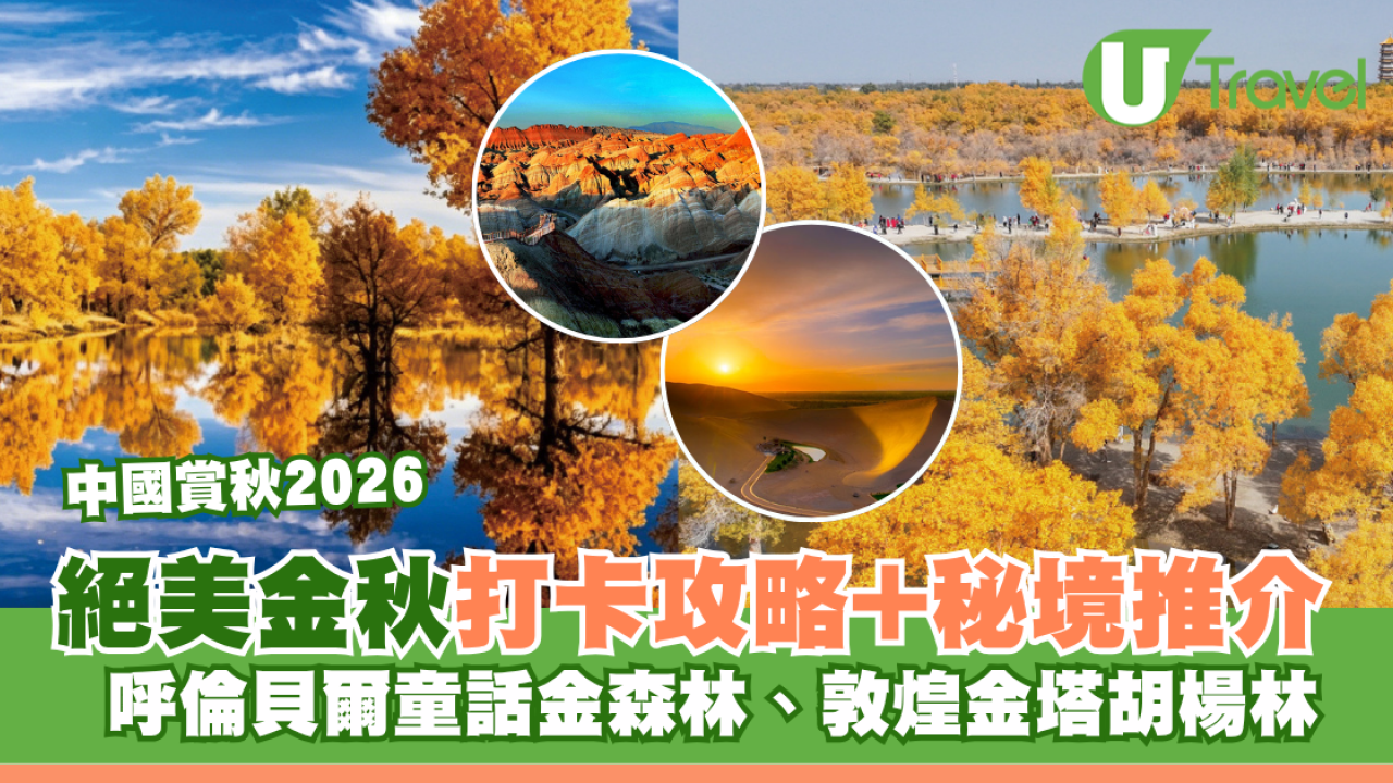 中國賞秋2026｜絕美金秋打卡攻略！呼倫貝爾童話金森林、敦煌金塔胡楊林秘境景點推介