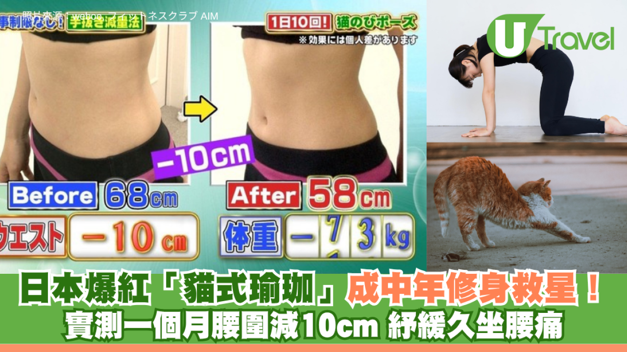 日本爆紅「貓式瑜珈」成中年修身救星！實測一個月腰圍減10cm 紓緩久坐腰痛