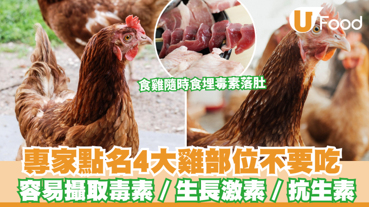食雞隨時食埋毒素落肚 牛津化學博士點名4大雞部位不要吃 容易攝取毒素／生長激素／抗生素