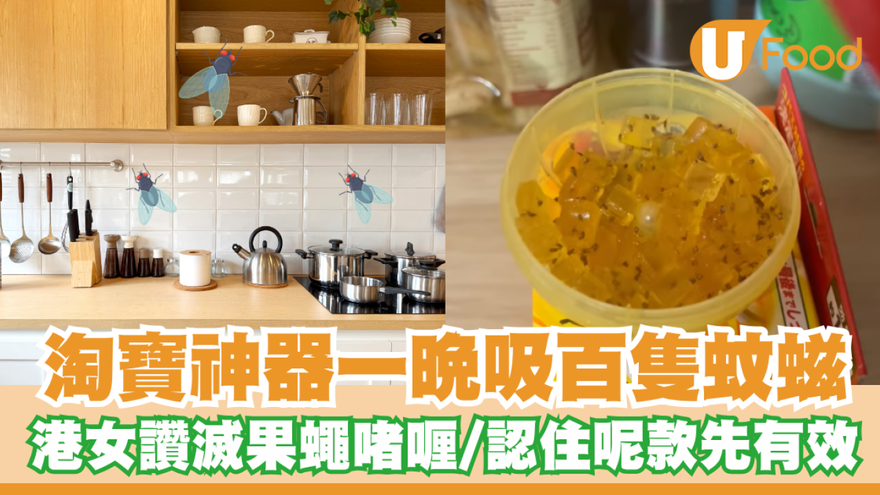 淘寶神器一晚吸百隻蚊螆！港女大讚滅果蠅啫喱／認住呢款先有效！