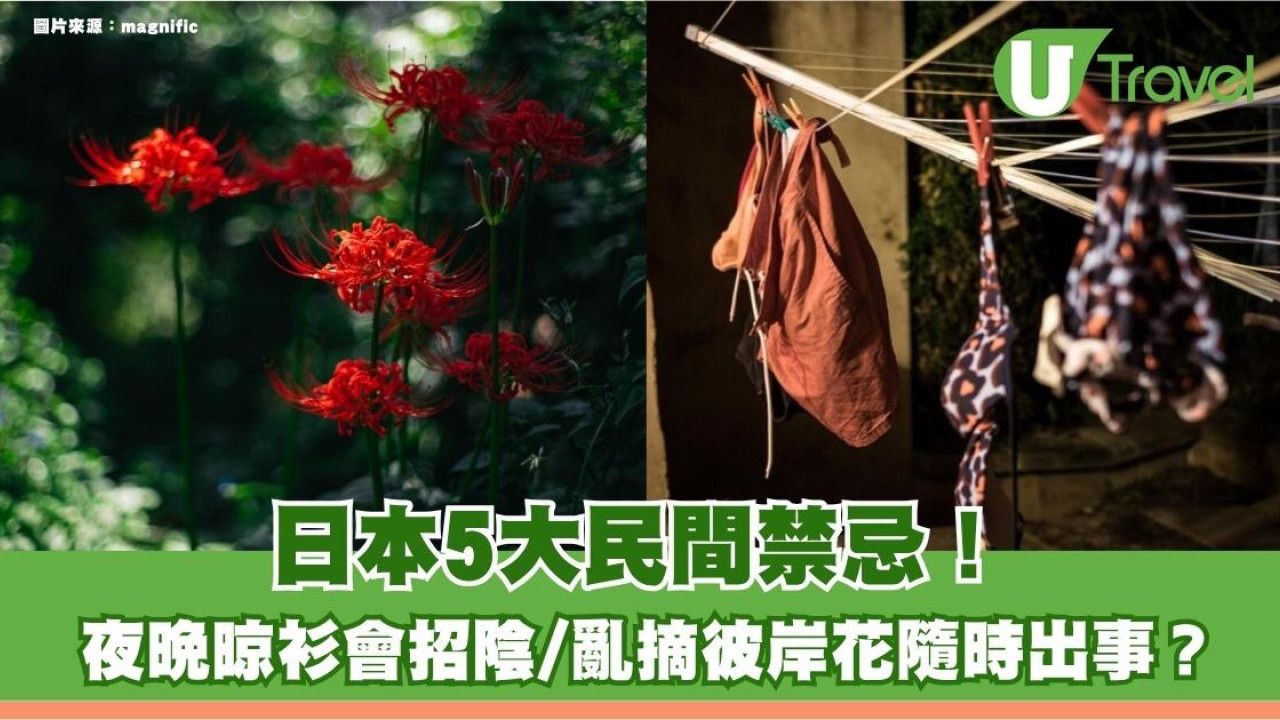 盤點日本5大民間禁忌！夜晚晾衫會招陰/亂摘彼岸花隨時出事？
