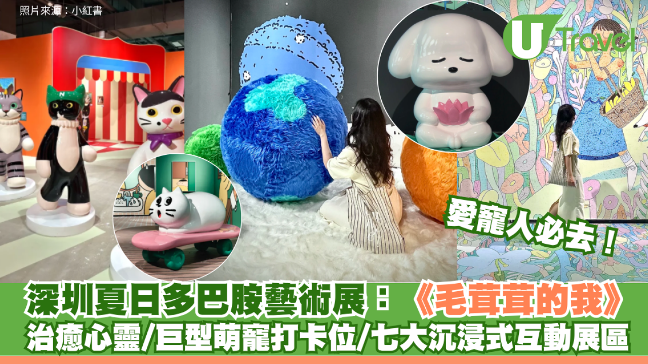 愛寵人必去！深圳夏日多巴胺藝術展：《毛茸茸的我》 治癒心靈/巨型萌寵打卡位/七大沉浸式互動展區