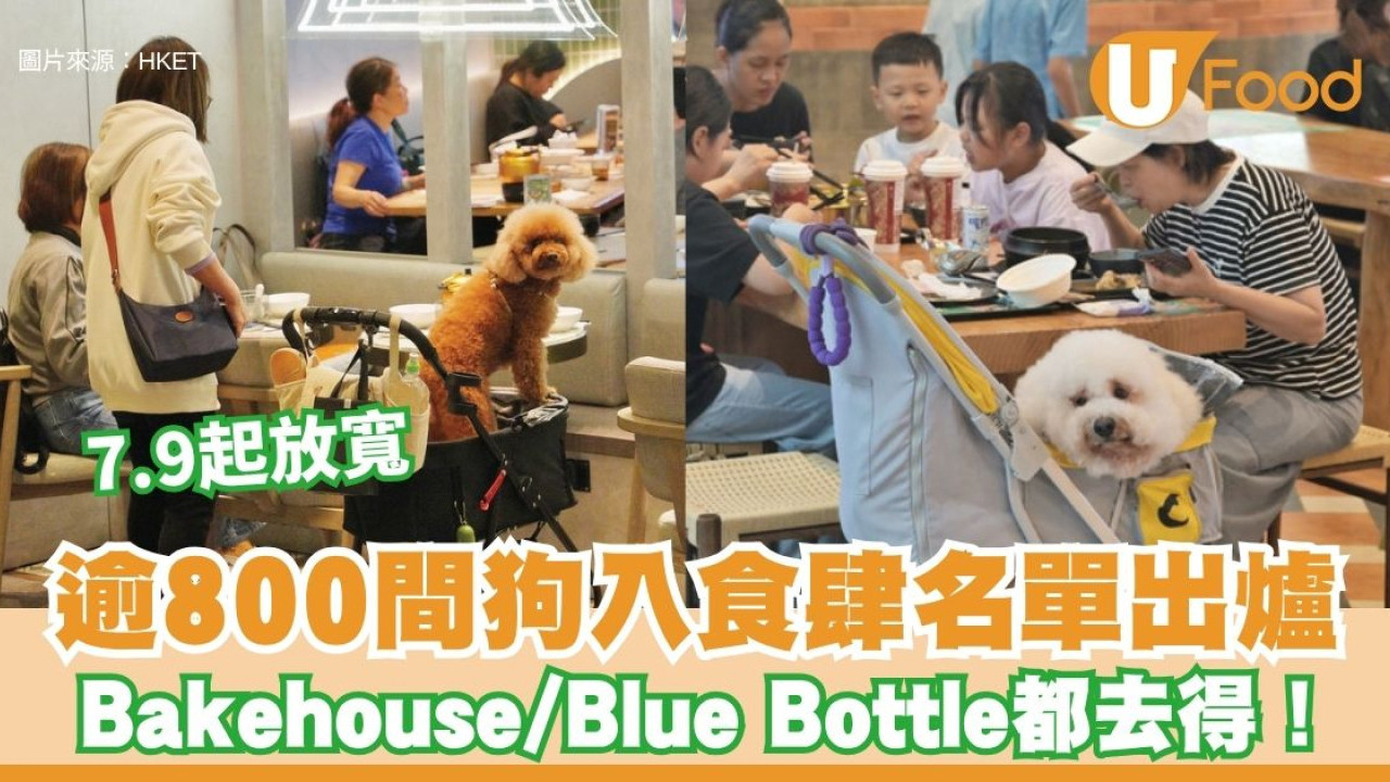 狗隻入食肆名單出爐！全港833間餐廳7.9起放寬 Bakehouse/Blue Bottle都去得！附18區餐廳地址